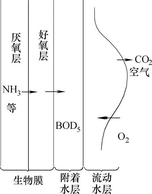 生物膜法的基本原理是什么