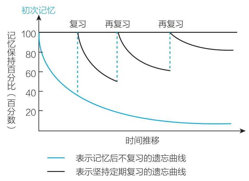 单词背了很快就忘了怎么办